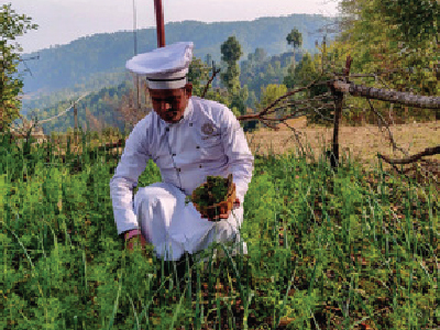 Vatsyayana Resorts